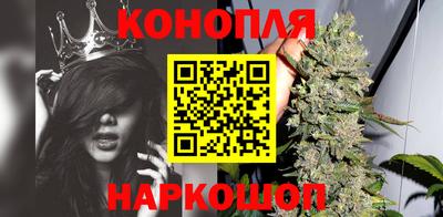 крисы Заводоуковск